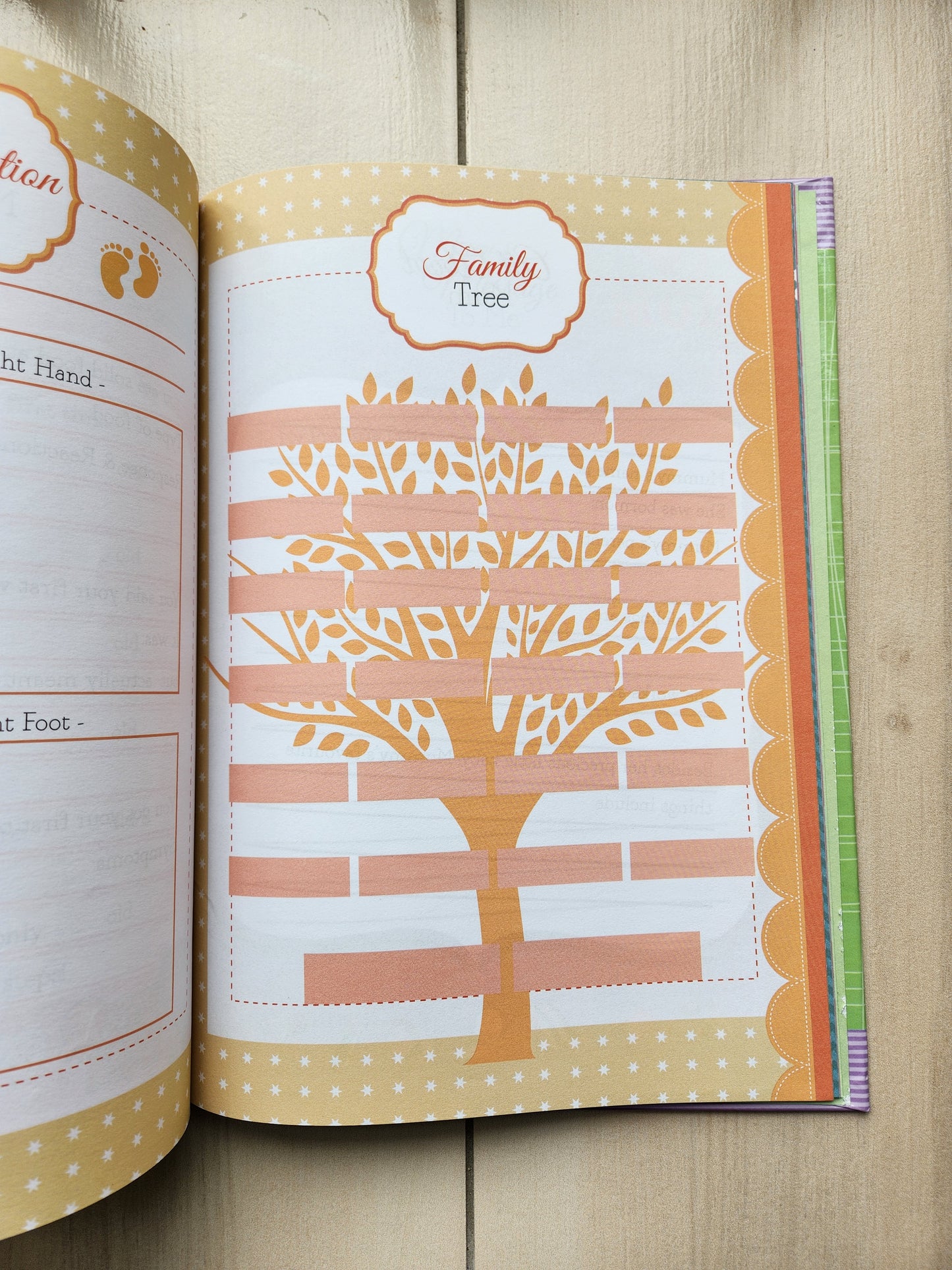 Baby Mu'min: My Book of Memories