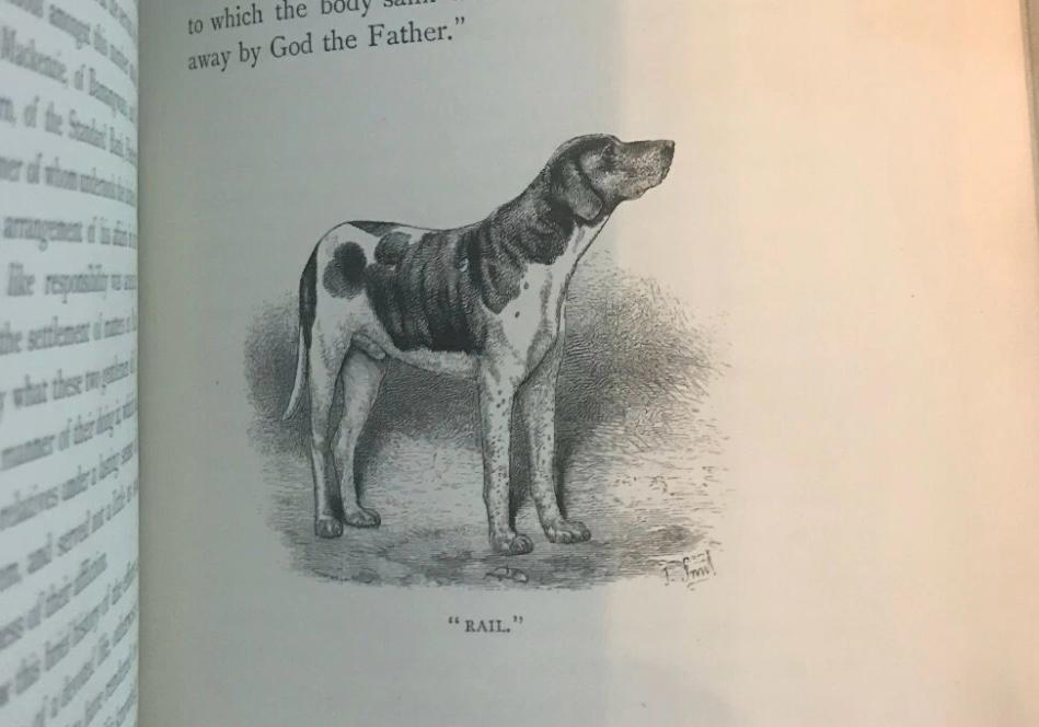 F Oates. Matabeleland and and the Victoria Falls. 1st edition. 1st impression. Published 1881.