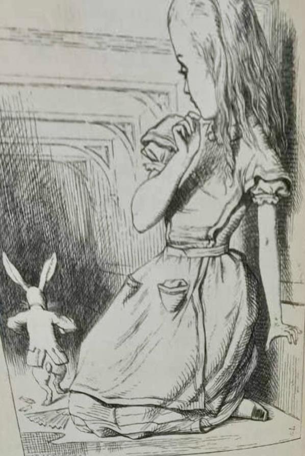 Alice's Adventures in Wonderland, Aventures D'Alice
Lewis Carrol, 1869, First French Edition