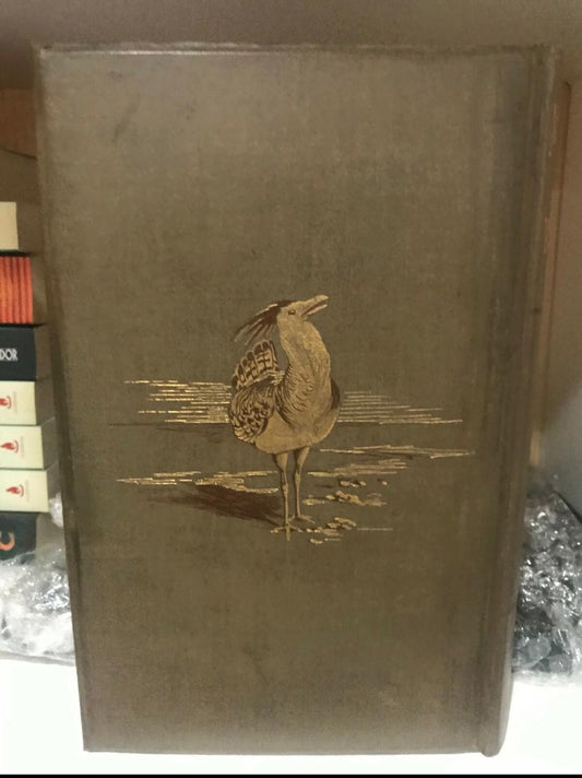 F Oates. Matabeleland and and the Victoria Falls. 1st edition. 1st impression. Published 1881.