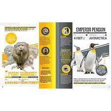 Animal Smackdown Surprising Animal Matchups with Surprising Results