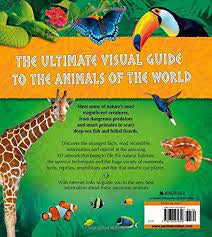 Animal Kingdom A thrilling adventure with nature's creatures (Hardback)