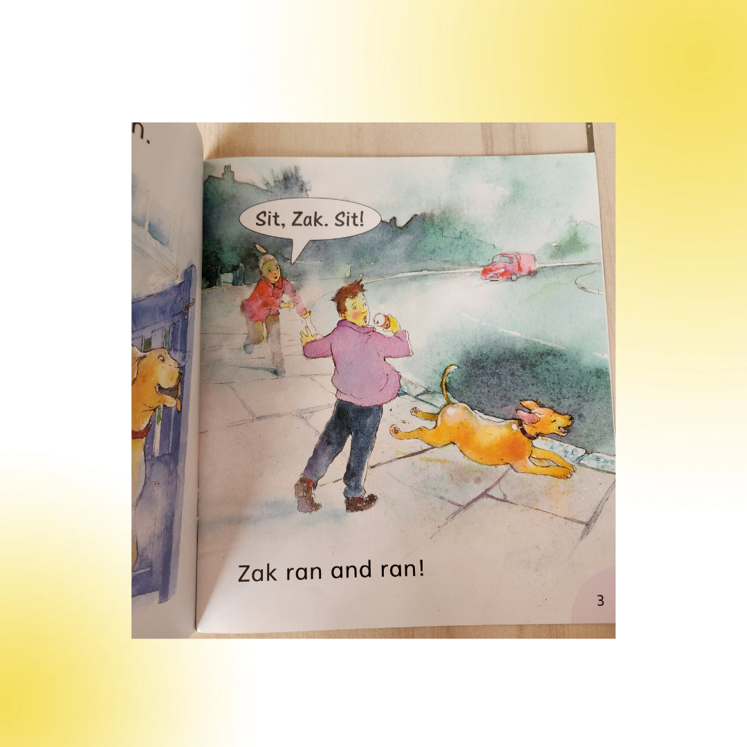 Julia Donaldson's Readers- Level 2