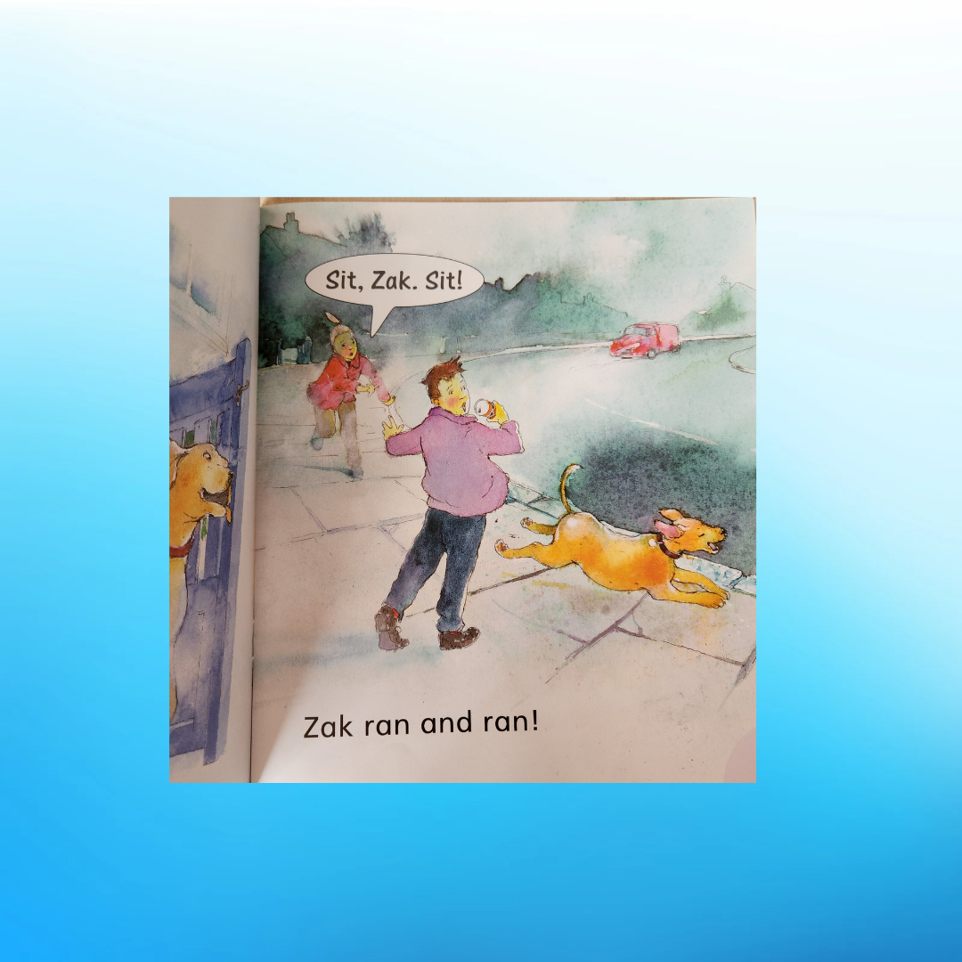 Julia Donaldson's Readers Level 1