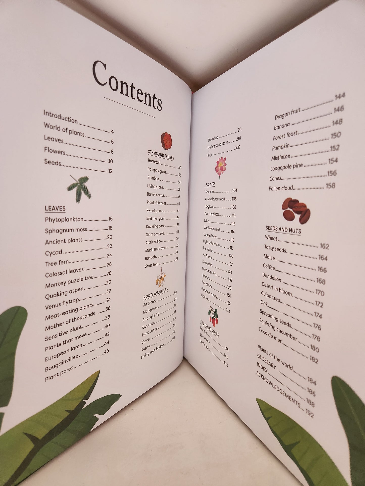 Anthology Series: The Secret World of Plants by Ben Hoare