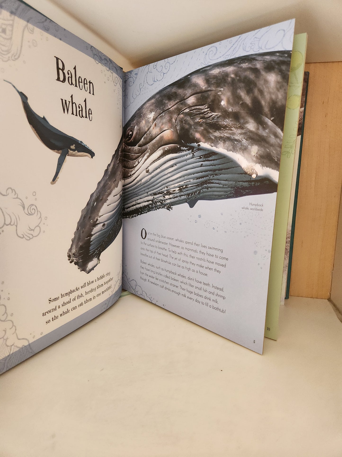 An Anthology of Intriguing Animals by Ben Hoare (Factory Flawed)