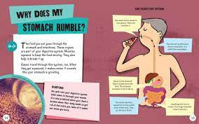 Human Body Questions & Answers (Hardback)