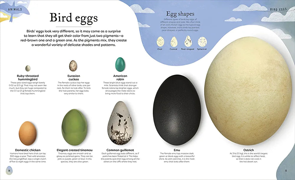 Nature's Treasures by Ben Hoare