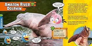 Angry Birds Playground: Rain Forest A Forest Floor to Treetop Adventure