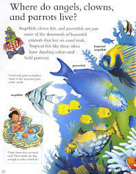 I Wonder Why the Sea Is Salty and Other Questions About the Oceans