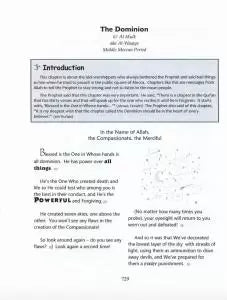 The Meaning of the Holy Quran for School Children by Yahiya Emerick