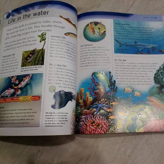 The Kingfisher Encyclopedia Of Everything