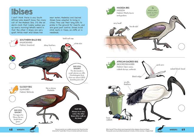 Faansie's Bird Book