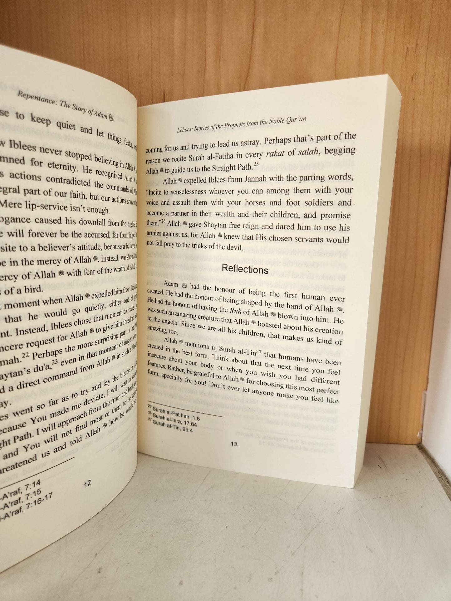 Echoes: Stories of the Prophets (A.S) from the Noble Quran by B.A Bismilla