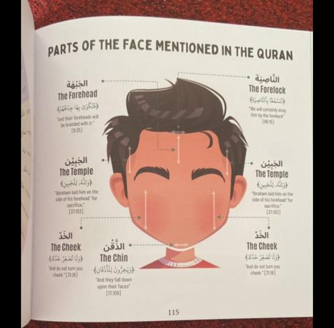 Quran For Thought: A Visual Journey of commentry and Quran Reflections on selected verses and words of the Quran [New Edition]