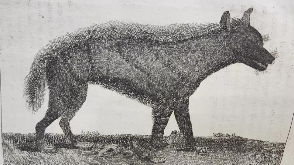 Travels to Discover the Source of the Nile, In the Years 1768, 1769, 1770, 1771, 1772, and 1773