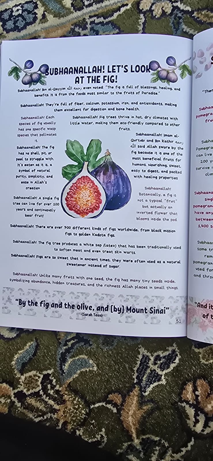 Oh Allah I see You! Imaani Mudhaakarah book by Madrasah Darul Arqam.