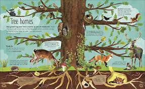 RHS the Magic and Mystery of Trees (Hardback)