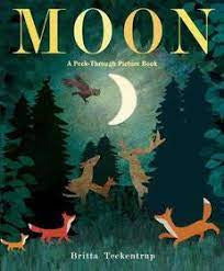 Moon A Peek-through Picture Book