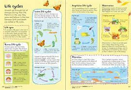 Junior Illustrated Science Dictionary