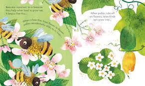 Bee- Peep inside a beehive Board Book