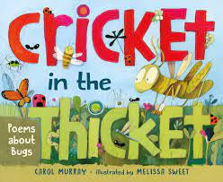 Cricket in the Thicket Poems about Bugs (Hardback)